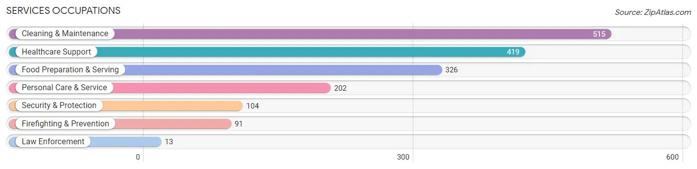 Services Occupations in Zip Code 29678