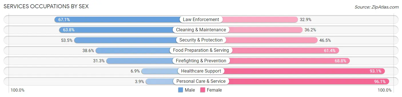 Services Occupations by Sex in Zip Code 29680