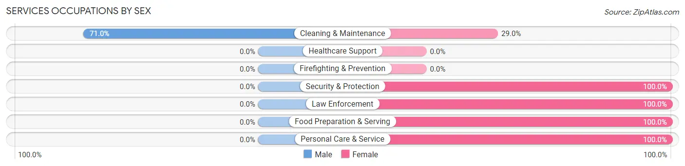Services Occupations by Sex in Zip Code 29685