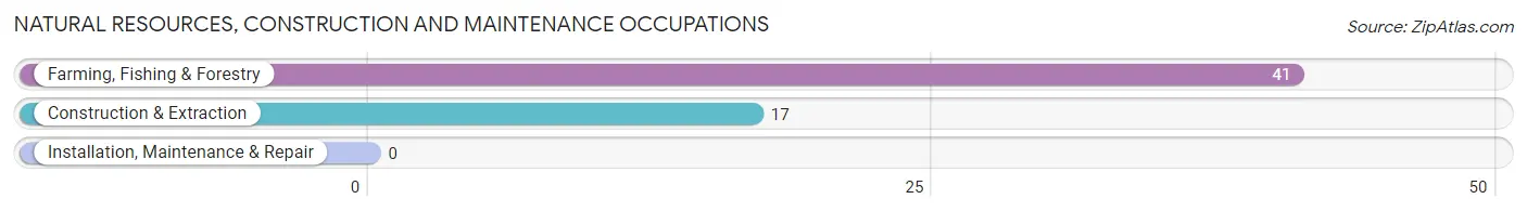 Natural Resources, Construction and Maintenance Occupations in Zip Code 29686