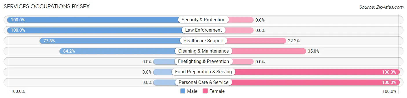 Services Occupations by Sex in Zip Code 29689