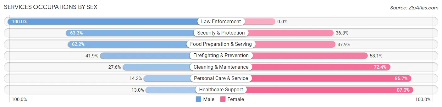 Services Occupations by Sex in Zip Code 29693