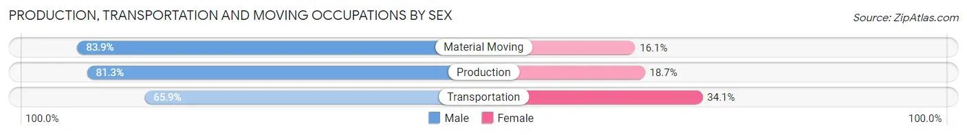 Production, Transportation and Moving Occupations by Sex in Zip Code 29704
