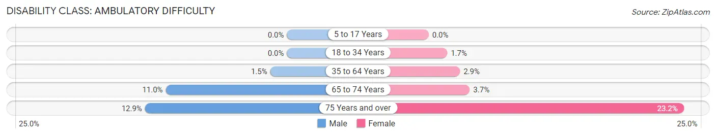 Disability in Zip Code 29707: <span>Ambulatory Difficulty</span>