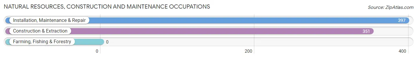 Natural Resources, Construction and Maintenance Occupations in Zip Code 29707