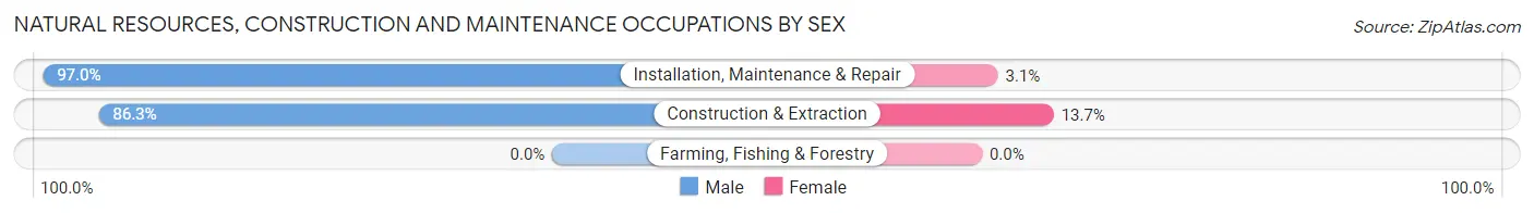Natural Resources, Construction and Maintenance Occupations by Sex in Zip Code 29715