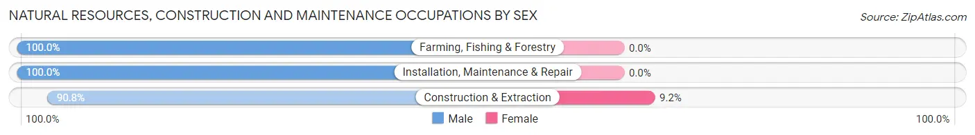 Natural Resources, Construction and Maintenance Occupations by Sex in Zip Code 29729
