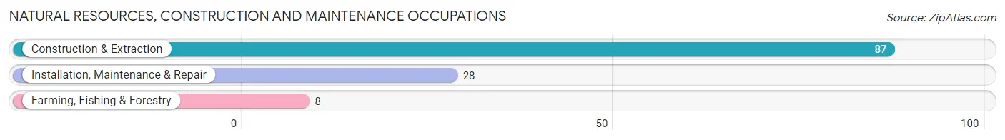 Natural Resources, Construction and Maintenance Occupations in Zip Code 29729