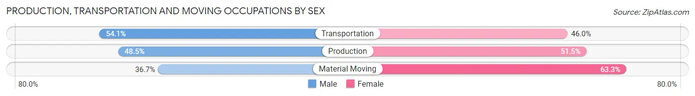 Production, Transportation and Moving Occupations by Sex in Zip Code 29729