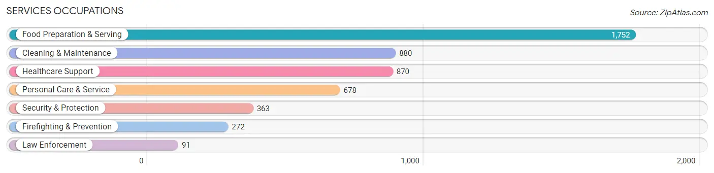 Services Occupations in Zip Code 29730