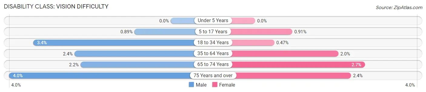 Disability in Zip Code 29732: <span>Vision Difficulty</span>