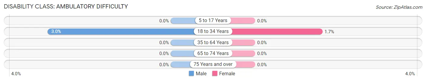 Disability in Zip Code 29733: <span>Ambulatory Difficulty</span>