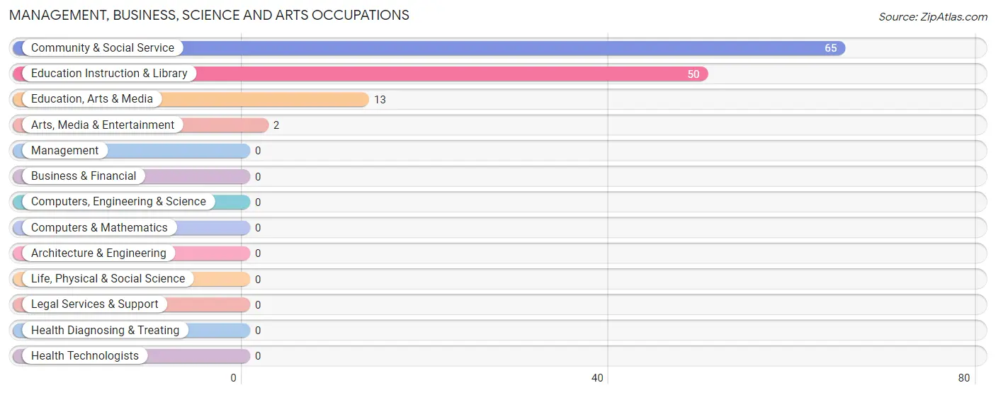 Management, Business, Science and Arts Occupations in Zip Code 29733