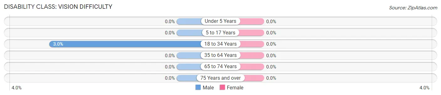 Disability in Zip Code 29733: <span>Vision Difficulty</span>