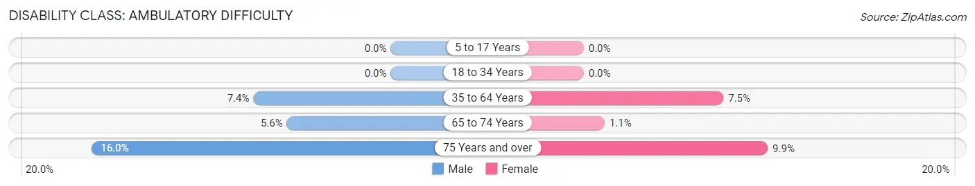 Disability in Zip Code 29741: <span>Ambulatory Difficulty</span>