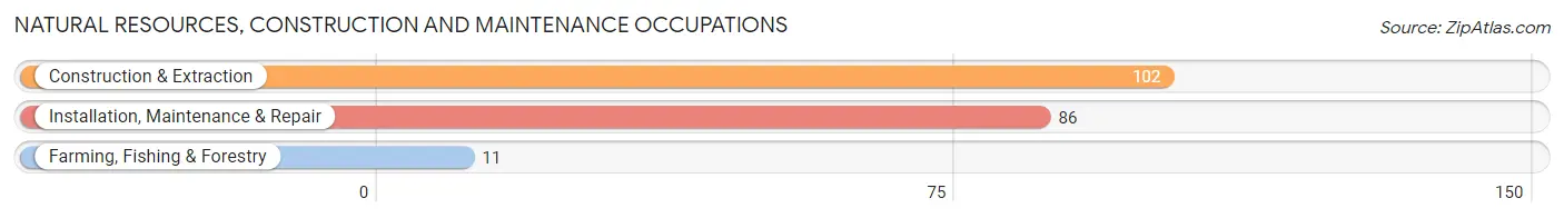 Natural Resources, Construction and Maintenance Occupations in Zip Code 29741