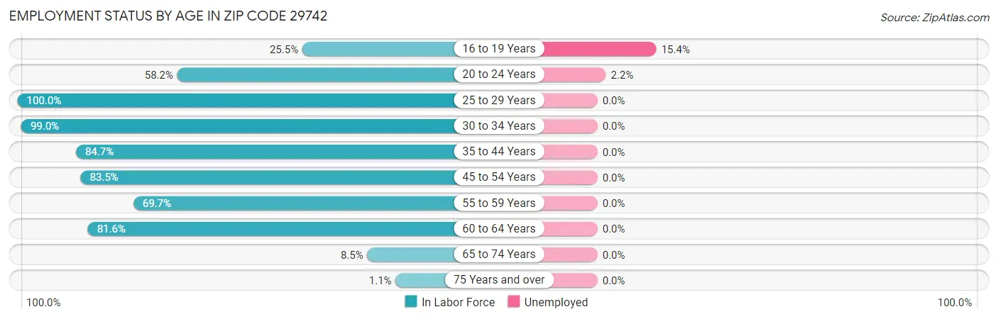 Employment Status by Age in Zip Code 29742