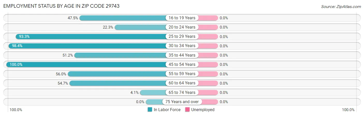 Employment Status by Age in Zip Code 29743