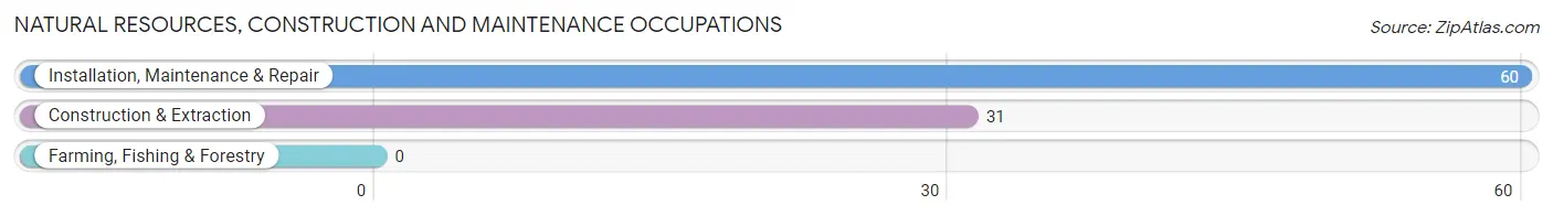 Natural Resources, Construction and Maintenance Occupations in Zip Code 29743