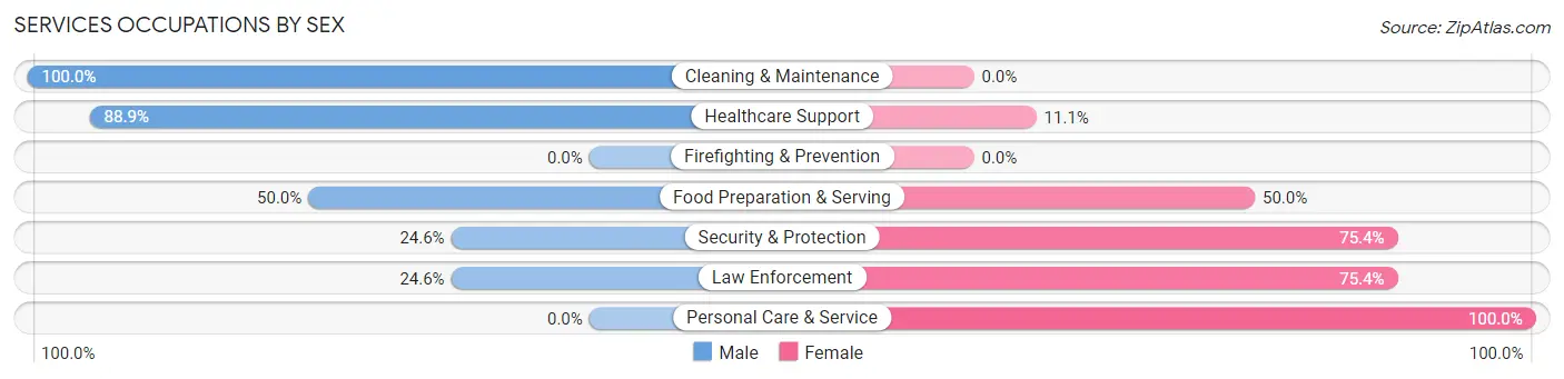 Services Occupations by Sex in Zip Code 29743