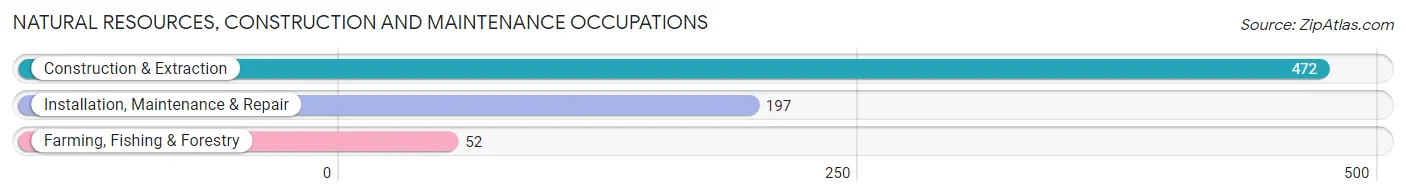 Natural Resources, Construction and Maintenance Occupations in Zip Code 29801