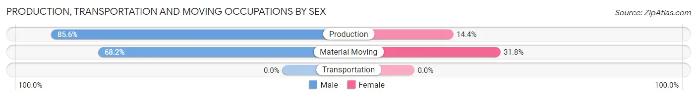 Production, Transportation and Moving Occupations by Sex in Zip Code 29809