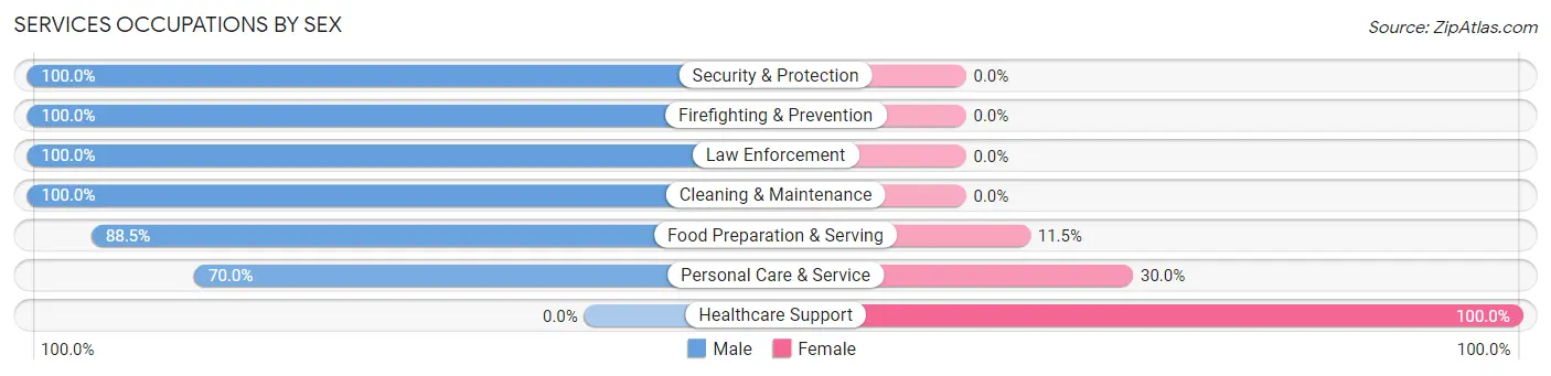Services Occupations by Sex in Zip Code 29809