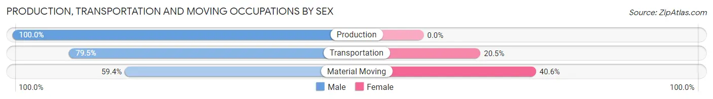 Production, Transportation and Moving Occupations by Sex in Zip Code 29810
