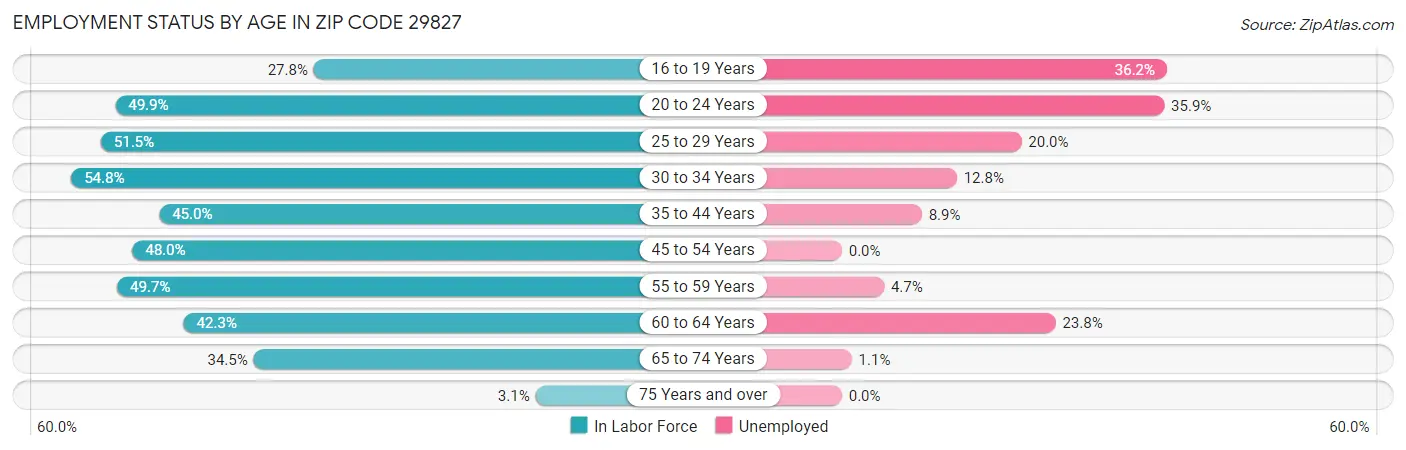 Employment Status by Age in Zip Code 29827