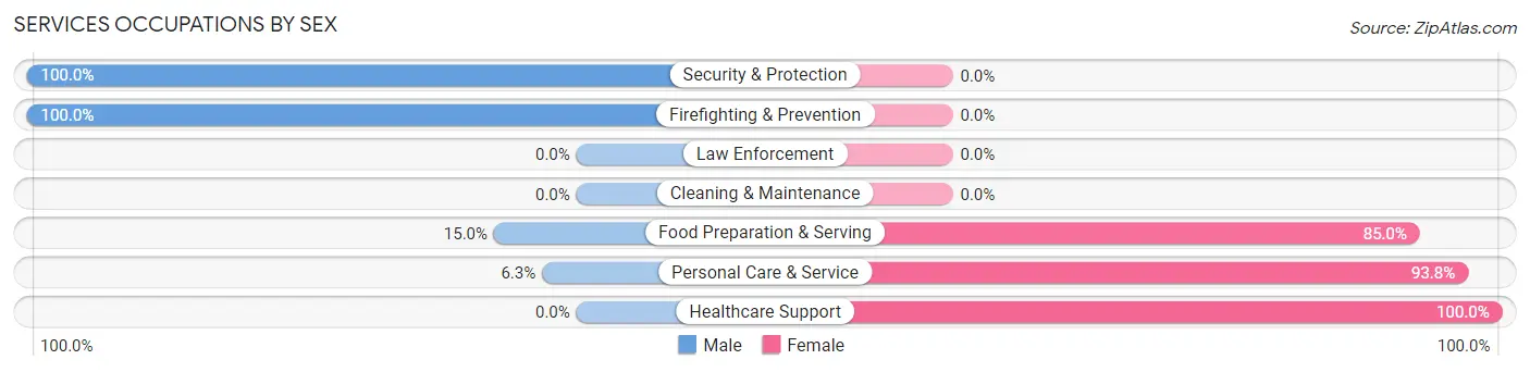 Services Occupations by Sex in Zip Code 29828