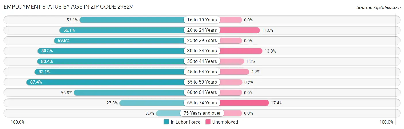 Employment Status by Age in Zip Code 29829