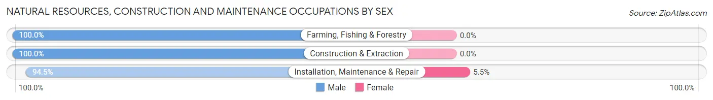 Natural Resources, Construction and Maintenance Occupations by Sex in Zip Code 29829