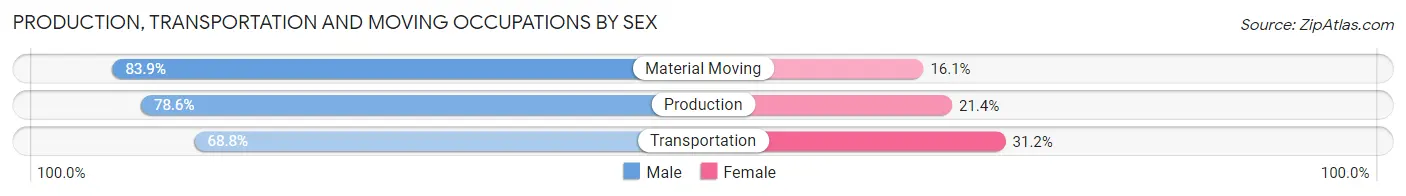 Production, Transportation and Moving Occupations by Sex in Zip Code 29829
