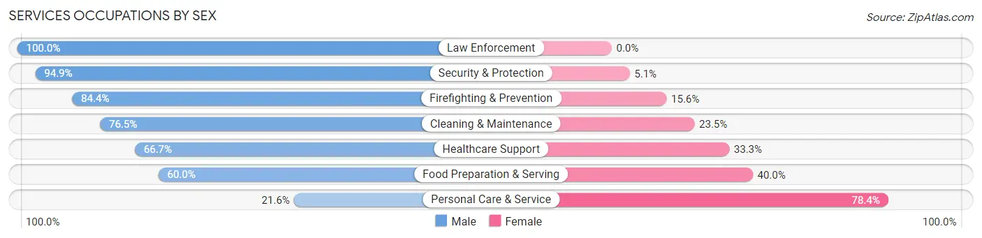Services Occupations by Sex in Zip Code 29829