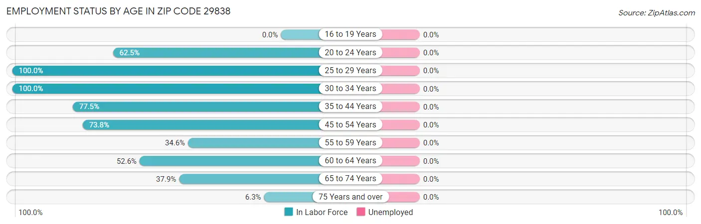 Employment Status by Age in Zip Code 29838