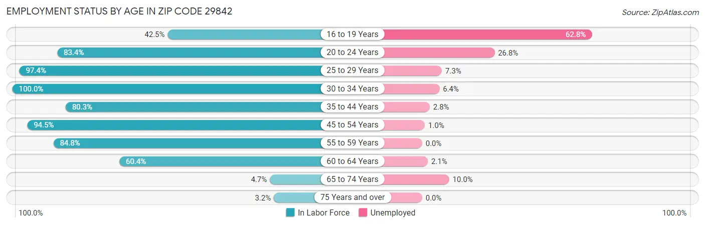 Employment Status by Age in Zip Code 29842