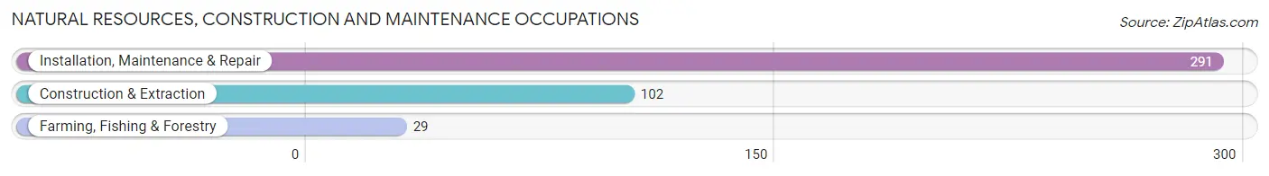 Natural Resources, Construction and Maintenance Occupations in Zip Code 29842