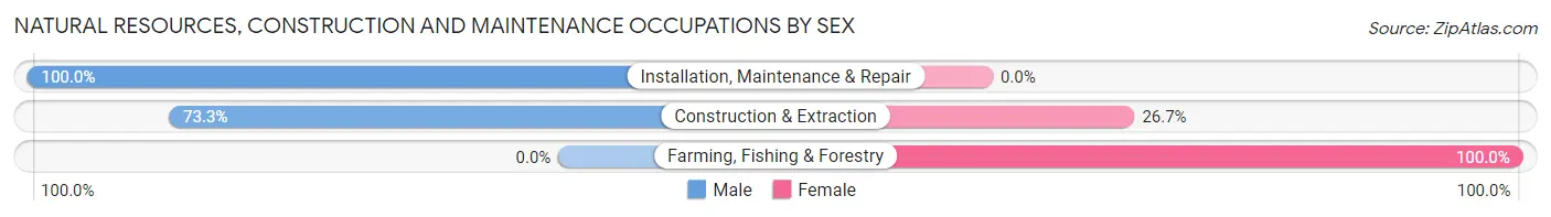 Natural Resources, Construction and Maintenance Occupations by Sex in Zip Code 29847