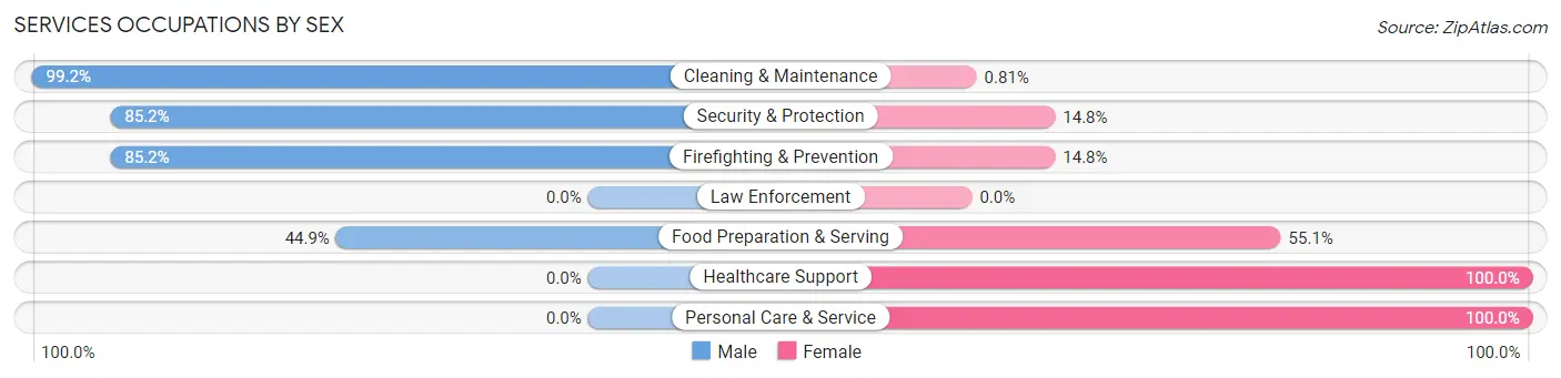 Services Occupations by Sex in Zip Code 29847