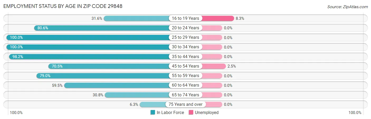 Employment Status by Age in Zip Code 29848