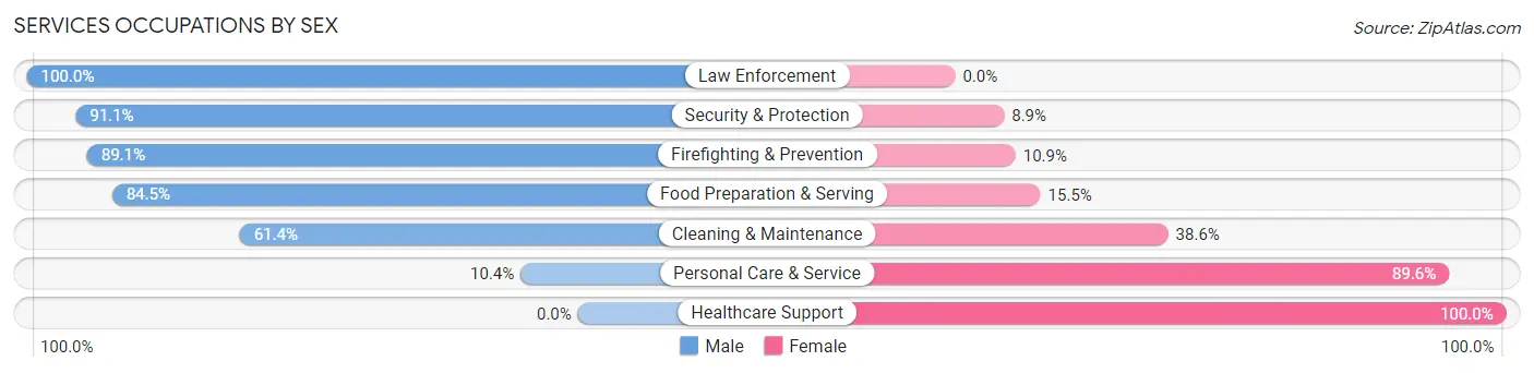 Services Occupations by Sex in Zip Code 29851