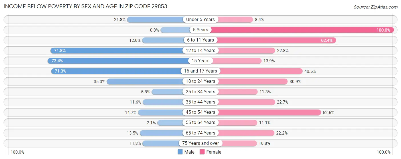 Income Below Poverty by Sex and Age in Zip Code 29853