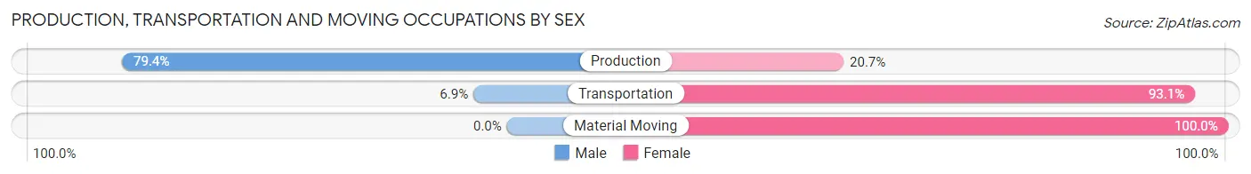 Production, Transportation and Moving Occupations by Sex in Zip Code 29856