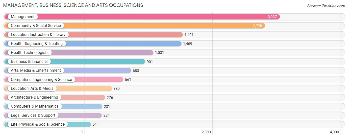 Management, Business, Science and Arts Occupations in Zip Code 29910