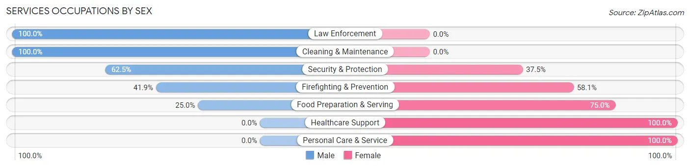 Services Occupations by Sex in Zip Code 29911