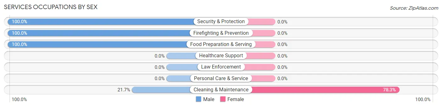 Services Occupations by Sex in Zip Code 29916