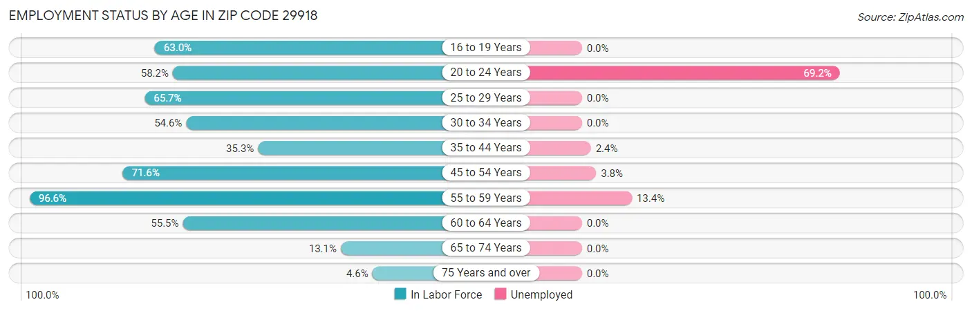 Employment Status by Age in Zip Code 29918