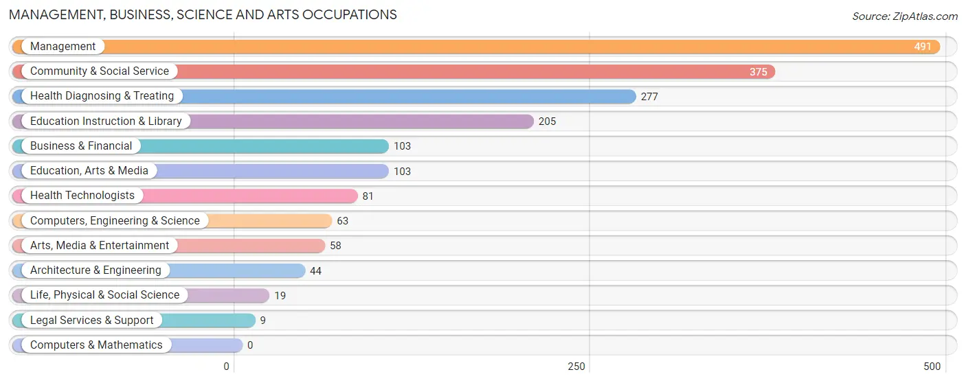 Management, Business, Science and Arts Occupations in Zip Code 29920