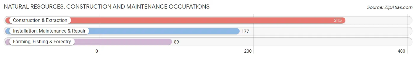 Natural Resources, Construction and Maintenance Occupations in Zip Code 29920