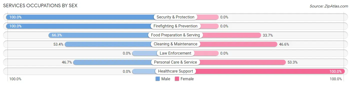 Services Occupations by Sex in Zip Code 29928
